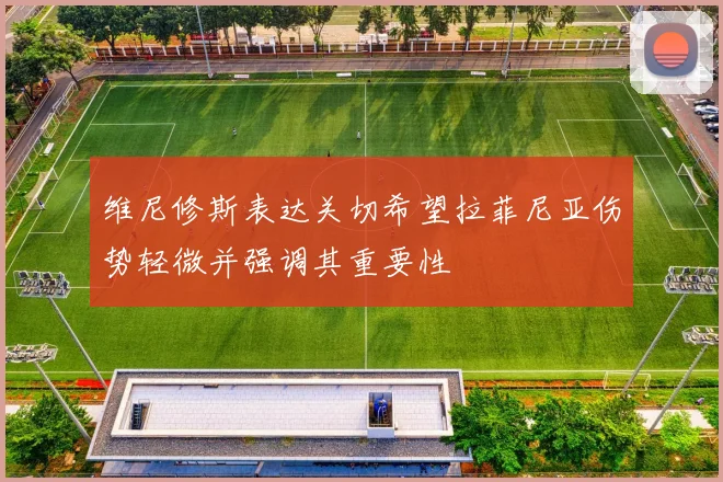 维尼修斯表达关切希望拉菲尼亚伤势轻微并强调其重要性